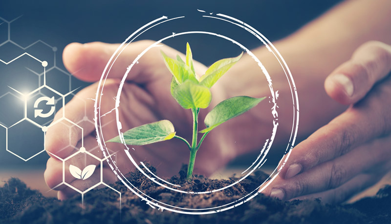 How Governance Structures Ensure BRSR Accountability