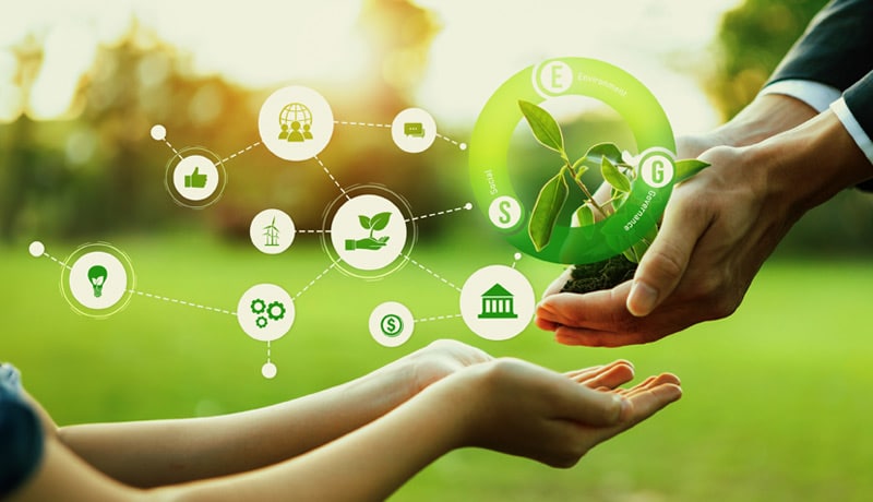 The Need for Specialized ESG Consulting in BRSR Reporting