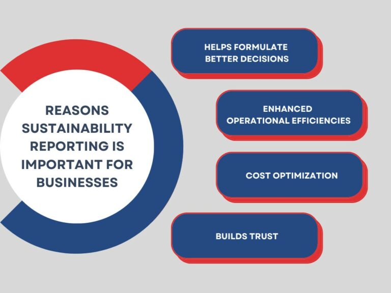 Importance of Sustainability Reporting for Big Companies