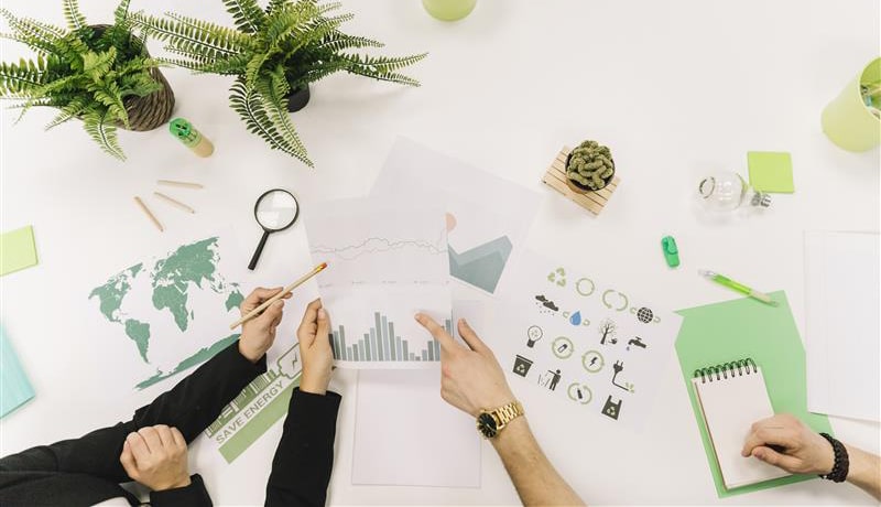 What Are the Implications and Strategies for BRSR Reporting in India?