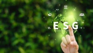 Bridging the Sustainability Skills Gap: Practical EcoVadis Guide for SMEs