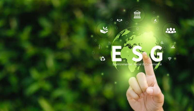 Bridging the Sustainability Skills Gap: Practical EcoVadis Guide for SMEs