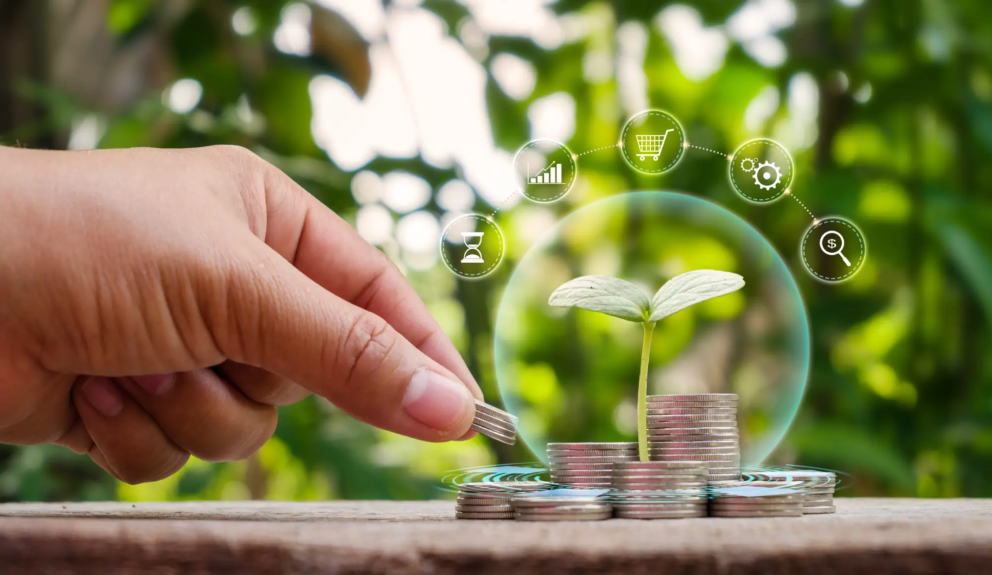 Climate Risk Management in Hong Kong’s Financial Sector
